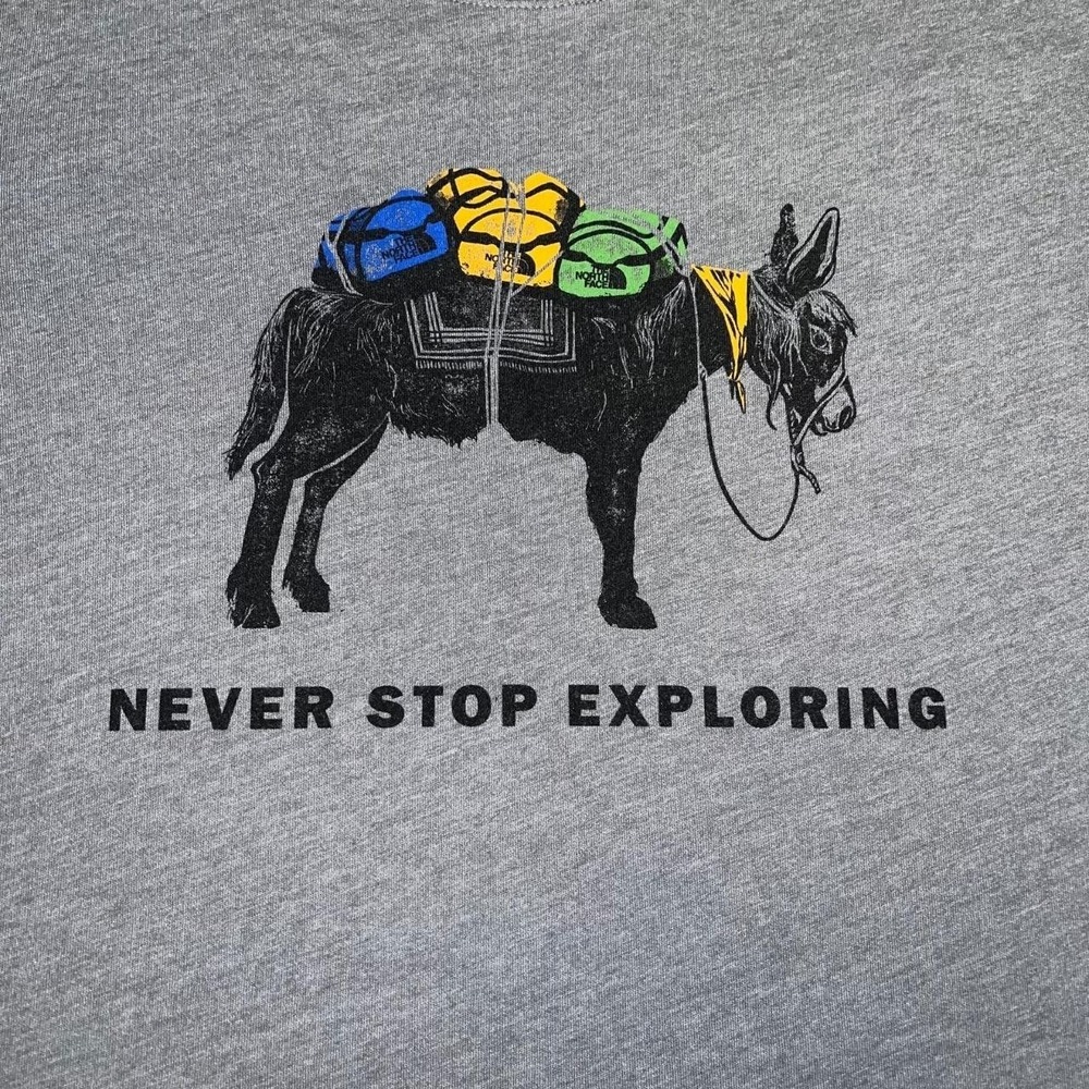 The North Face Evolution‎ Pack Never Stop Exploring T Shirt Sz S Gray Donkey Tee - Picture 3 of 9